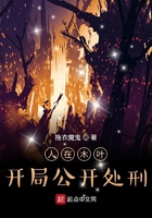 人在木叶:开局公开处刑