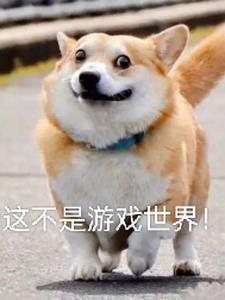 住手!这不是游戏世界!