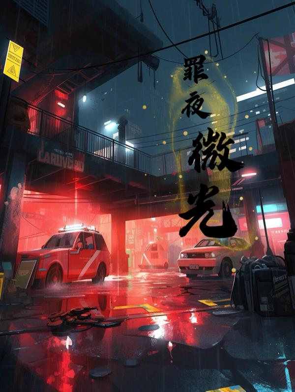 罪夜微光