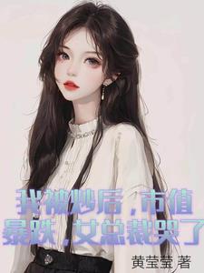 我被炒后,市值暴跌,女总裁哭了