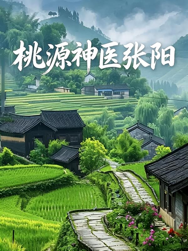 桃源神医张阳