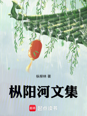 枞阳河文集