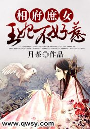 相府庶女:王妃不好